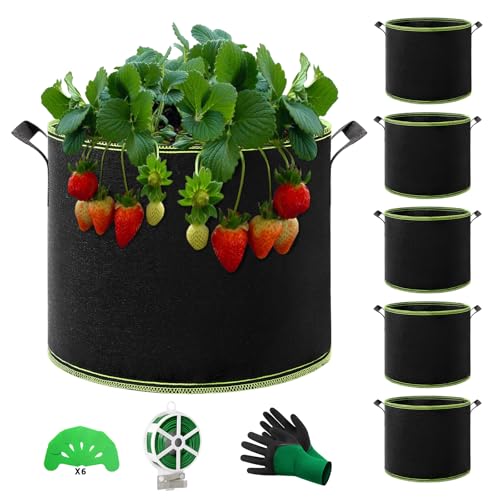 QCR 6 Stück 38L Pflanzsack Pflanzsäcke für Tomaten Mehrzweck-Vliesstoff Töpfe mit haltbaren Griffen, Garten Gewächshaus Pflanzbeutel Pflanztopf für Gemüse Obst Blumen Kräuter Sukkulenten
