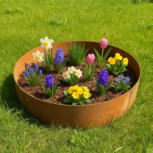 Czaja Pflanzring Ø 120 cm Edelrost, 20 cm Hoch - Rund Hochbeet Rost Pflanzgefäß Pflanzkübel Metallring Kräuterbeet Stahlring Stahl Ring