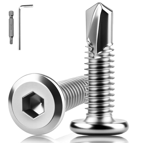 XRXYMQ 80 Stück Selbstschneidende Schrauben M5.5x19mm Blechschrauben 410 Edelstahl Blechschrauben Selbstschneidend Bohrschrauben Selbstschneidende Schrauben Edelstahl Mit Innensechskantbohrer