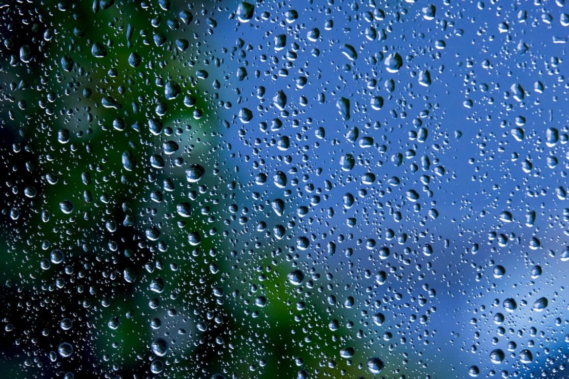 Glasarten im Garten