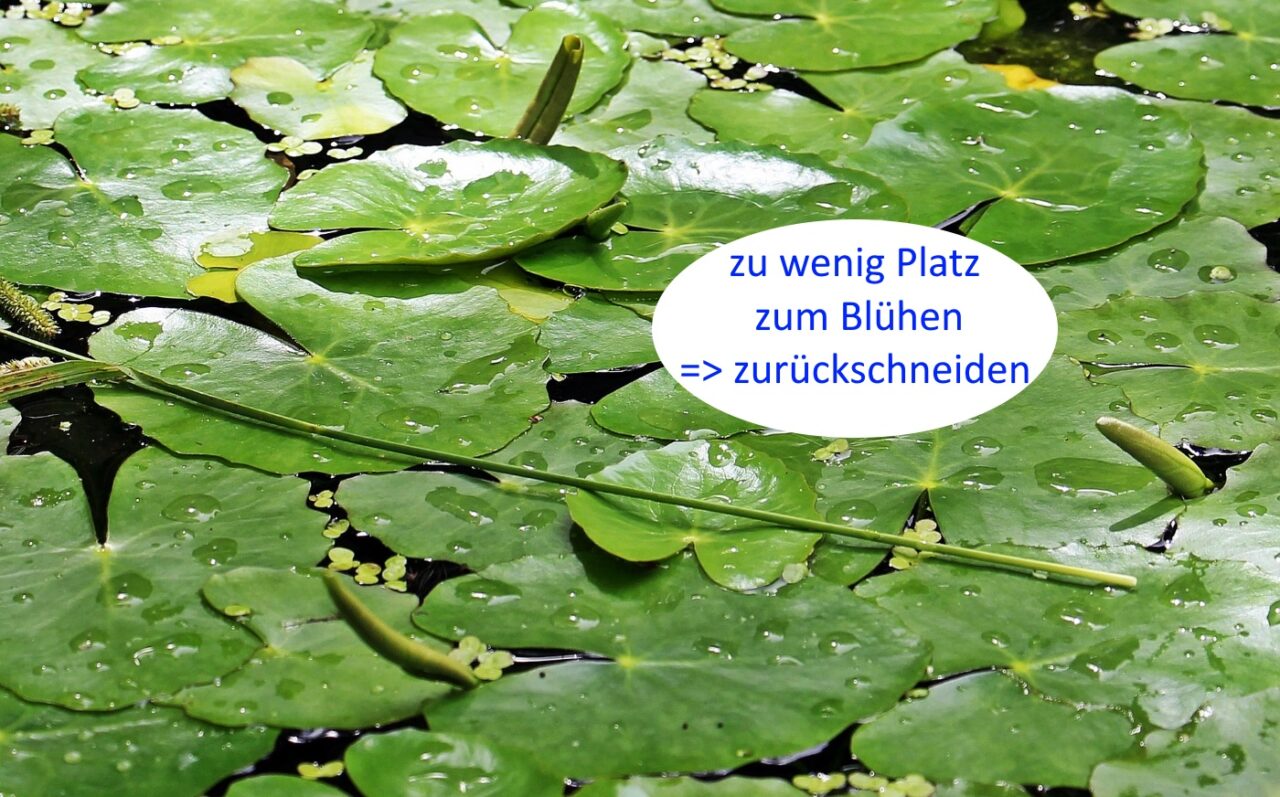 Zu wenig Platz