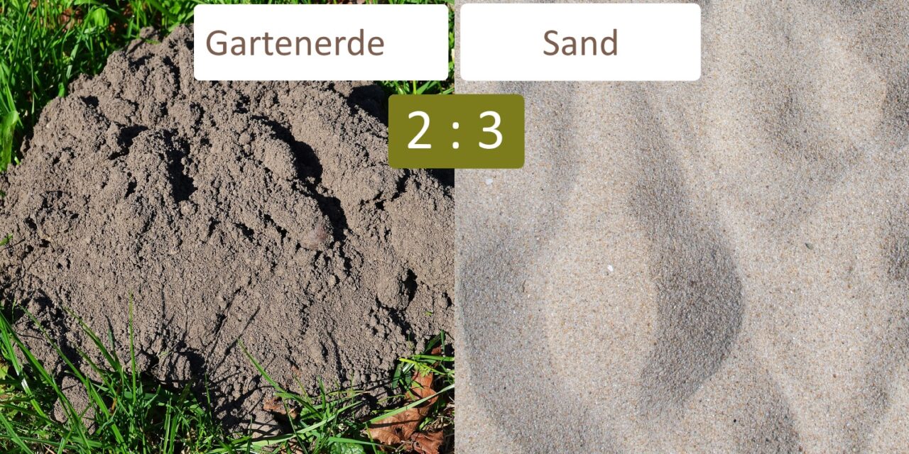 Seerosen Pflanzsubstrat aus Erde und Sand