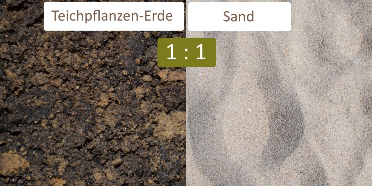 Teichpflanzen-Erde aus dem Handel und Sand