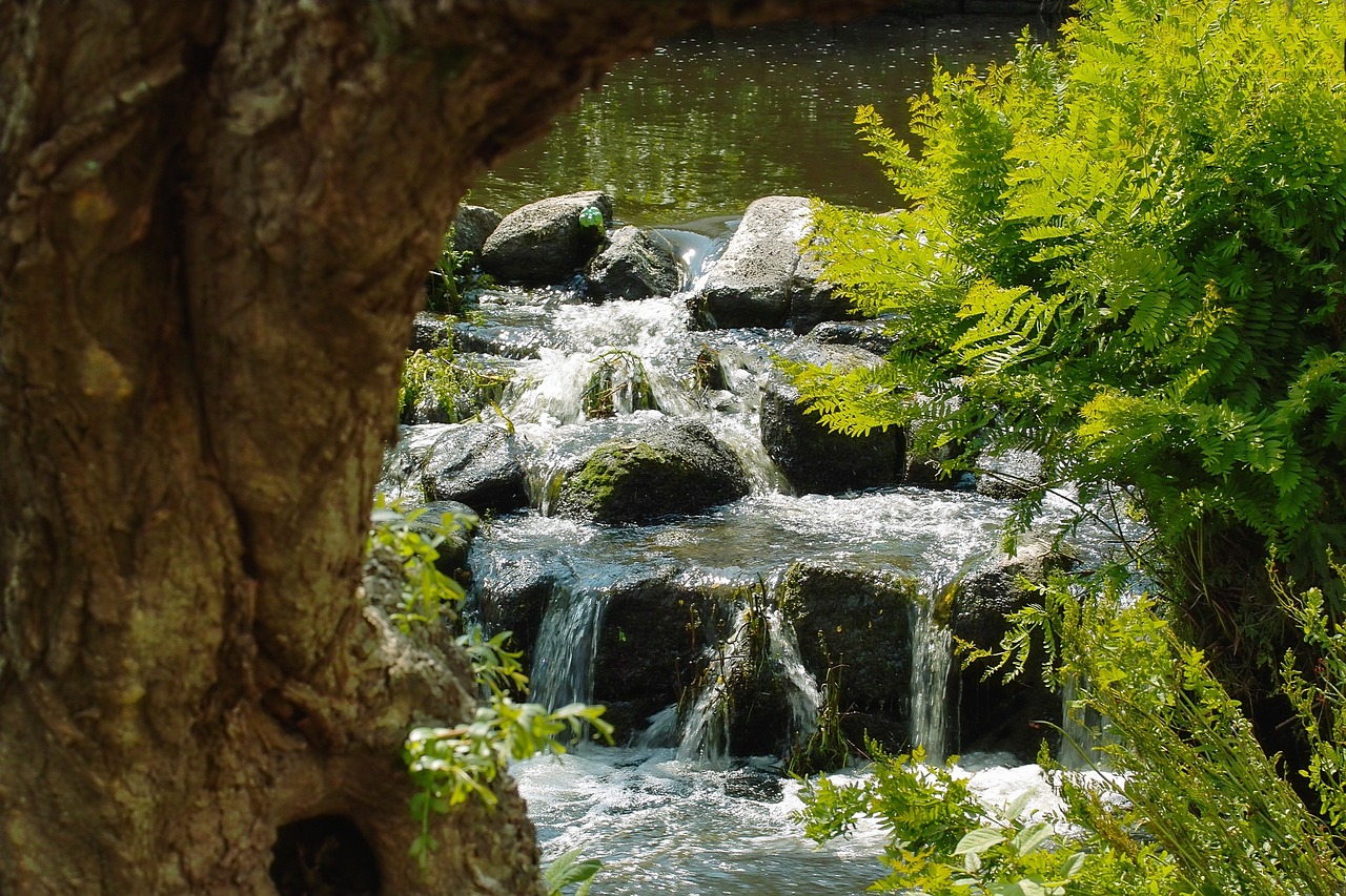 Wasser schafft Entspannung