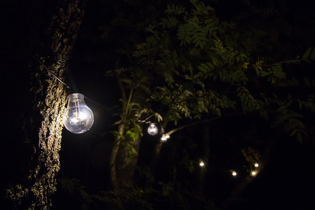 LEDBeleuchtung Gartenteich Ratgeber