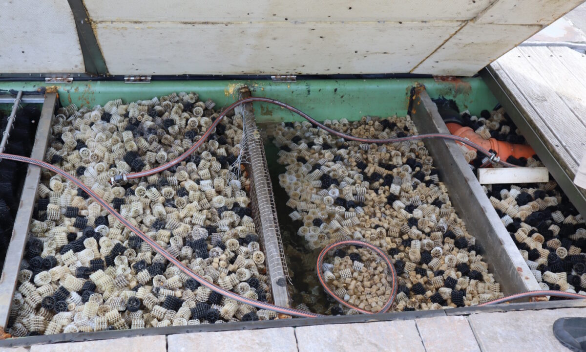 Filteranlage für den Koiteich Ein toller Teich mit 3 Filterkammern!