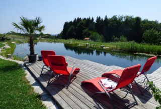 Das Foto zeigt einen Schwimmteich