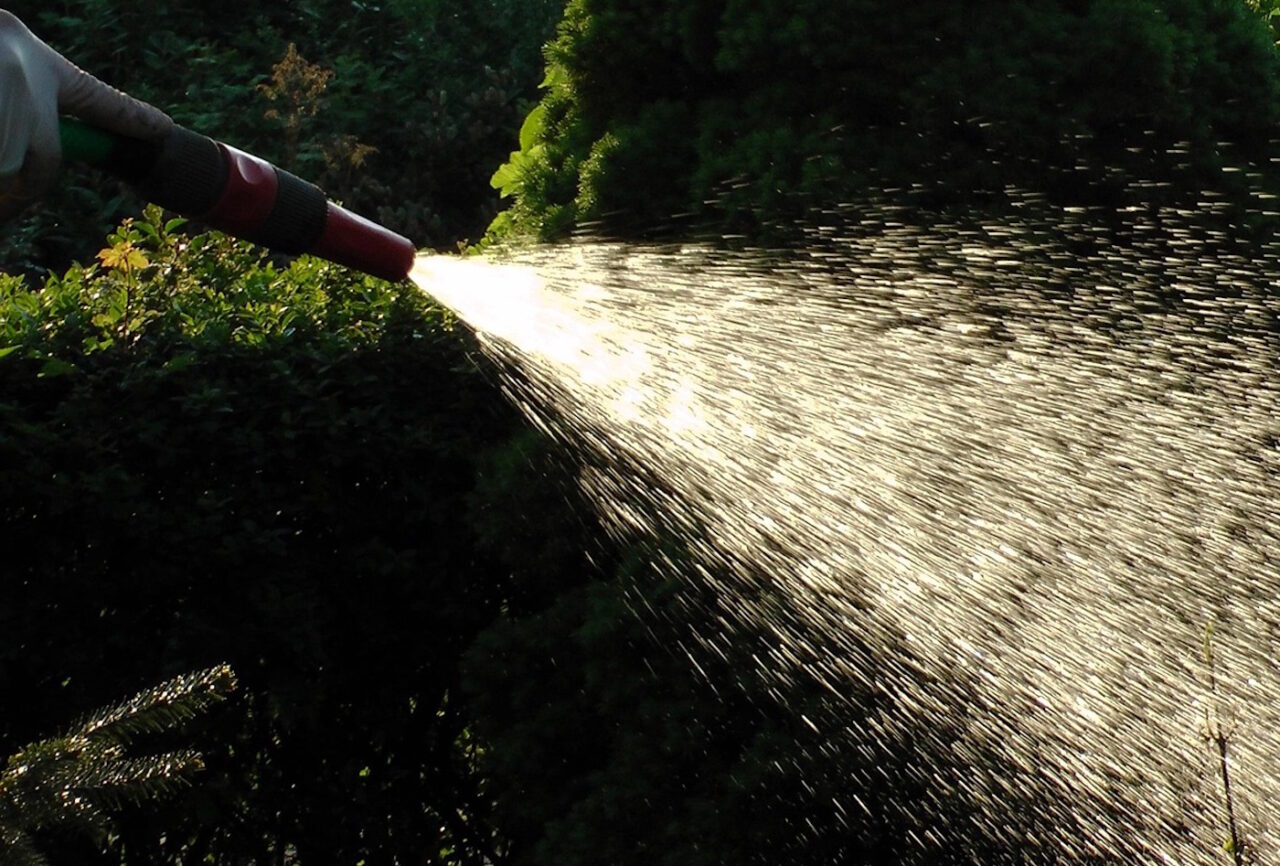 Das Foto zeigt einen Wasserstrahl
