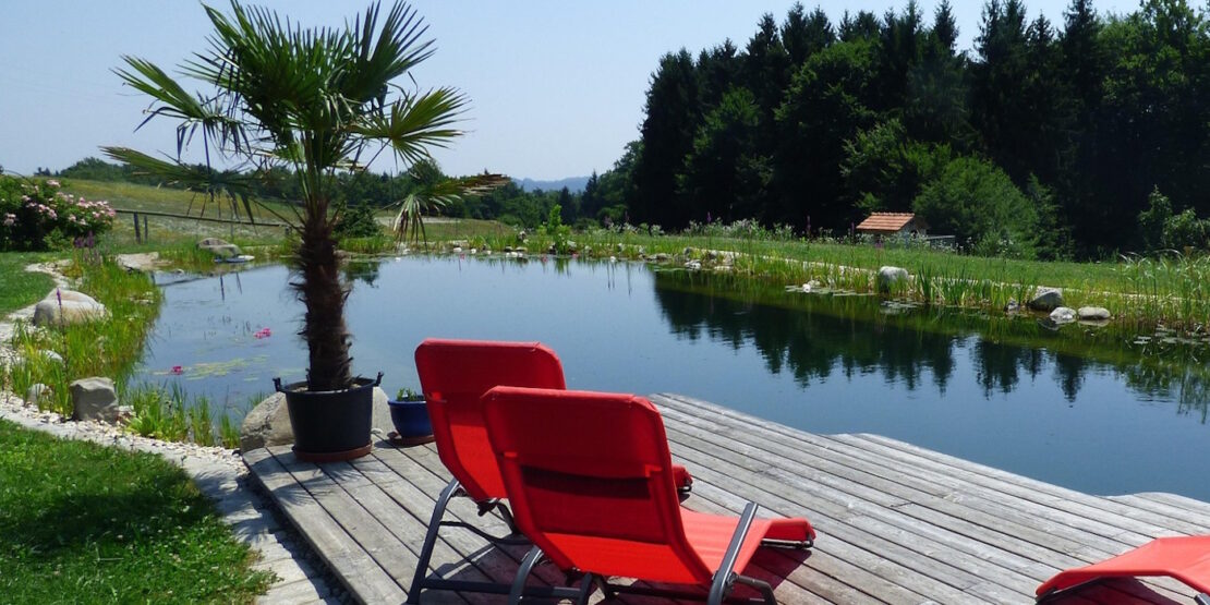 Das Foto zeigt einen Schwimmteich mit Steg und roten Liegen