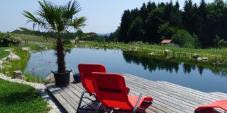 Das Foto zeigt einen Schwimmteich mit Steg und roten Liegen