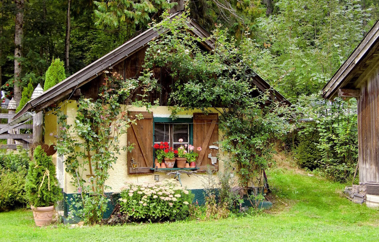 Das Foto zeigt ein altes Gartenhaus, das zugewuchert ist