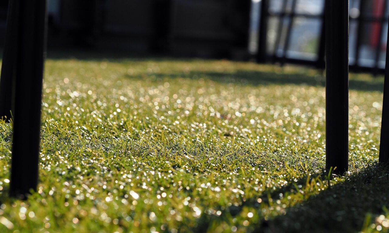 Das Foto zeigt einen Kunstrasen