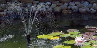 Das Foto zeigt einen Teich mit einer Seerose und einer Wasserfontaine