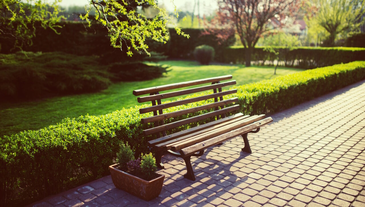Das Foto zeigt eine niedrige Hecke hinter einer Parkbank